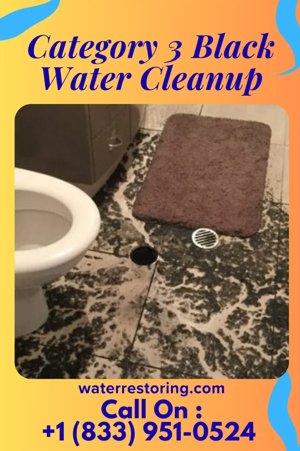 Category 3 Black Water Cleanup in Depoe Bay, OR