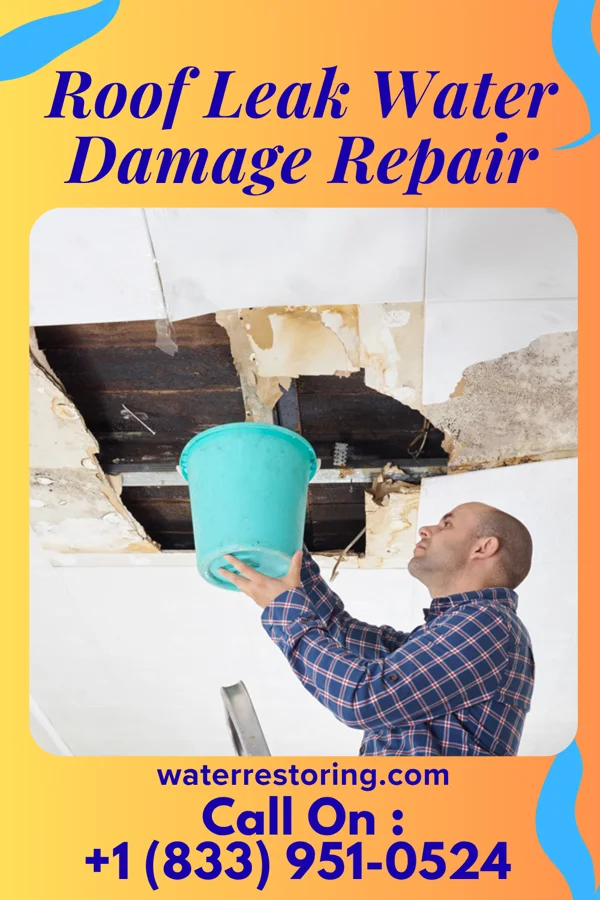 Roof Leak Water Damage Repair in Depoe Bay, OR